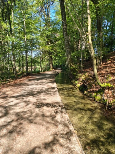 Fürstenwald ab Ochsenhausen