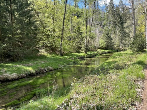 Bad Schandau - Kuhstall - Ostrau