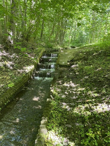 Von den Grummer Teichen zum Tippelsberg