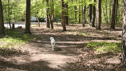 Küstenmoor Rundtour