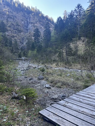 Kienjoch