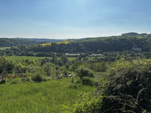 Von Burg Möckmühl durch den Harthäuser Wald