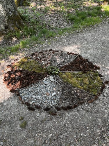 Von Burg Möckmühl durch den Harthäuser Wald