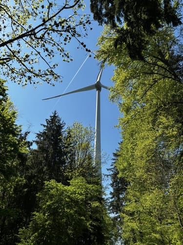 Von Burg Möckmühl durch den Harthäuser Wald