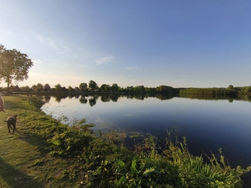 Feldmarksee