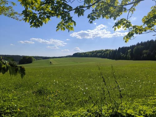 Fellen - Bayrisch Schanz - Villbach - Bad Orb