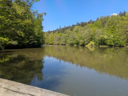 Herrenbachtal Weg