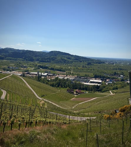 Dreikirschenweg Großer Rundweg