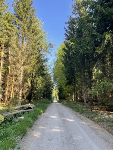 Wellenburg - Leopoldsberg