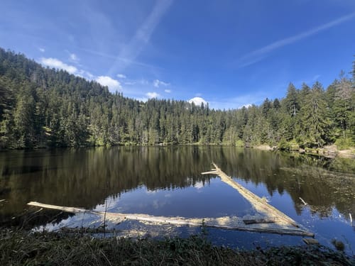 Von Holzwald zum Glaswaldsee