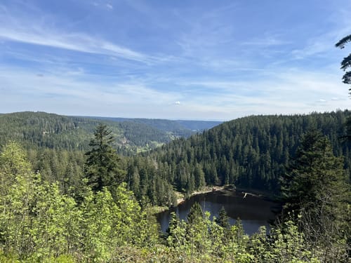 Von Holzwald zum Glaswaldsee