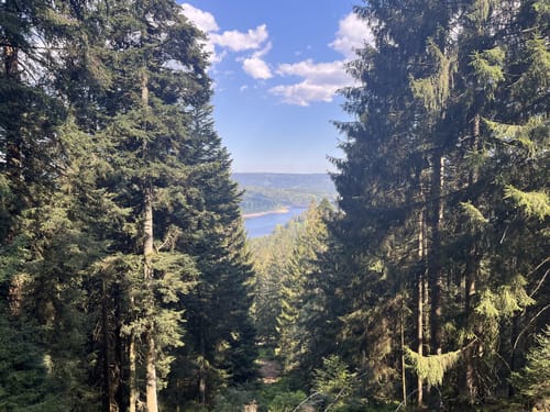 Schwarzenbachtalsperre zur Badener Höhe