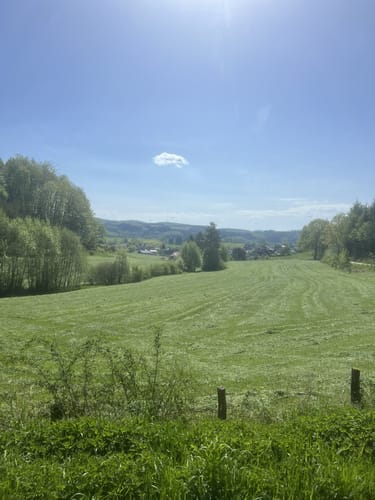 Rundwanderweg Ostentrop