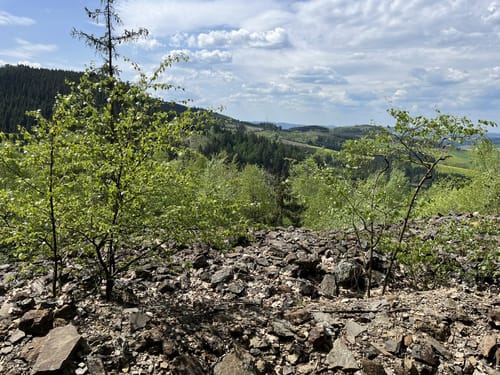 Berlar - Bergbaukolonie Alexander