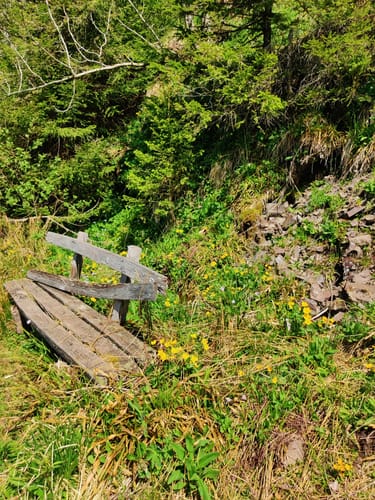 Kandelrasthaus - Großer Kandelfelsen