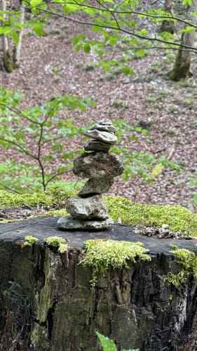 Löwenpfad Geislinger Felsentour