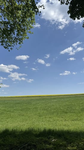 Löwenpfad Geislinger Felsentour