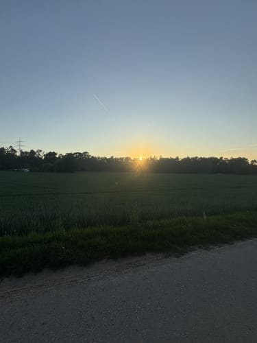 In Sandhausen und um die Dünen