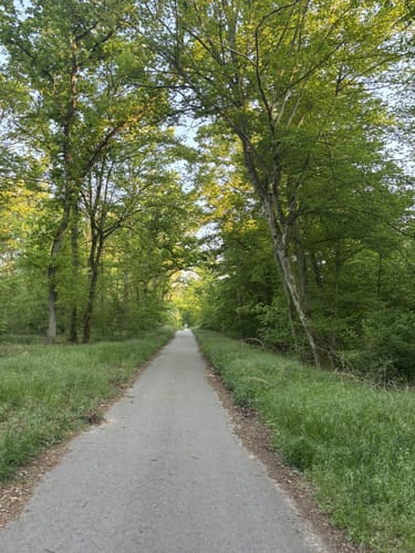 In Sandhausen und um die Dünen