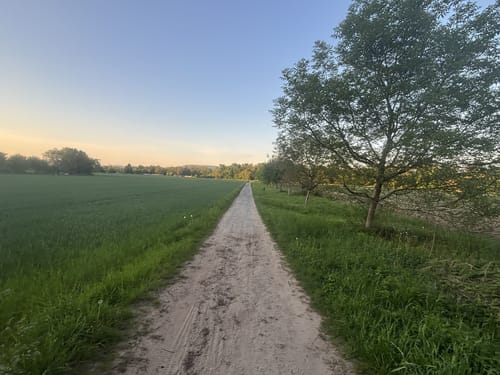 In Sandhausen und um die Dünen