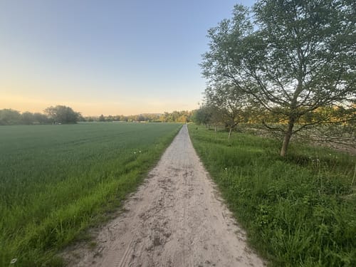 In Sandhausen und um die Dünen