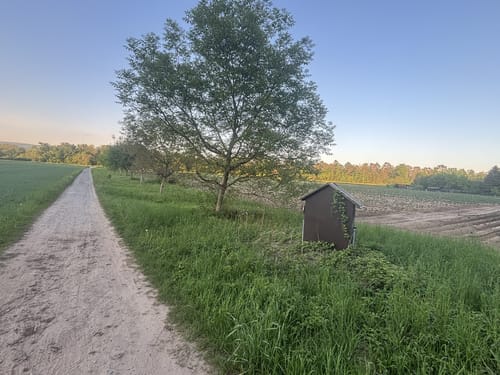 In Sandhausen und um die Dünen