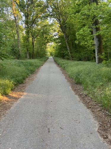 In Sandhausen und um die Dünen