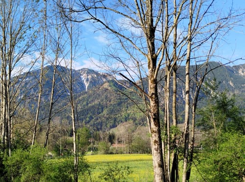 Spitzingscheibe ab Geitau