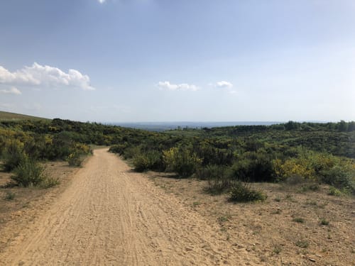 Hambach - Goldene Aue
