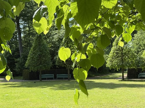 Schlosspark Benrath
