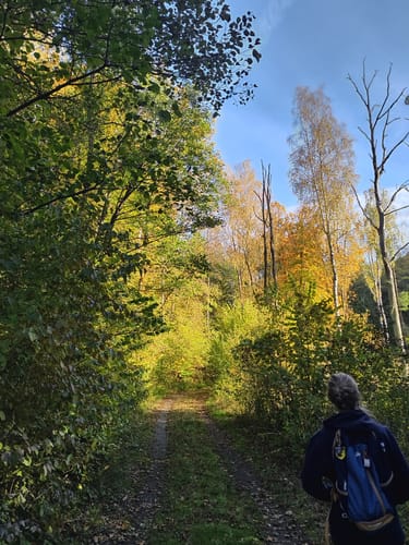 Klobichsee - Rundweg