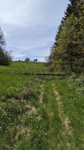 Speicher - Auw an der Kyll