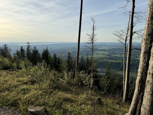 Blomberg Rundweg zum alten Zwiesel