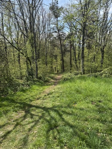 Westweg Etappe 7: Hausach - Wilhelmshöhe