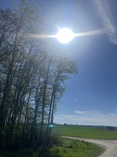 Rund um den Oberrieder See