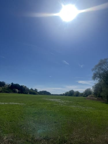 Rund um den Oberrieder See