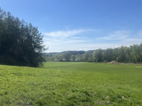 Rund um den Oberrieder See