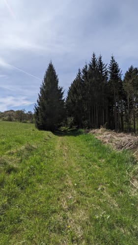 Speicher - Auw an der Kyll
