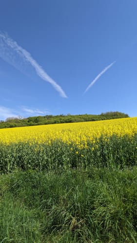 Speicher - Auw an der Kyll