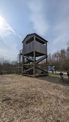 Leineaue zwischen Ruthe und Koldingen