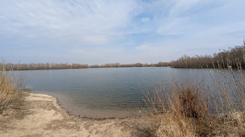 Leineaue zwischen Ruthe und Koldingen