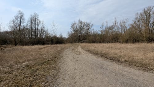 Leineaue zwischen Ruthe und Koldingen