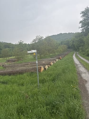 TraumRunde Iphofen