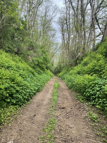 3-Quellen-Weg Unteröwisheim