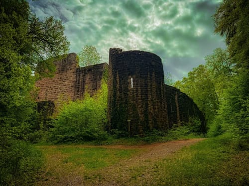 Ruine Waldeck - Fledermauspfad