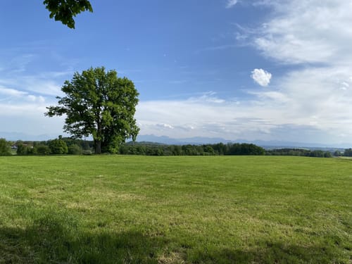 Zinneberg - Hermannsdorf - Glonn