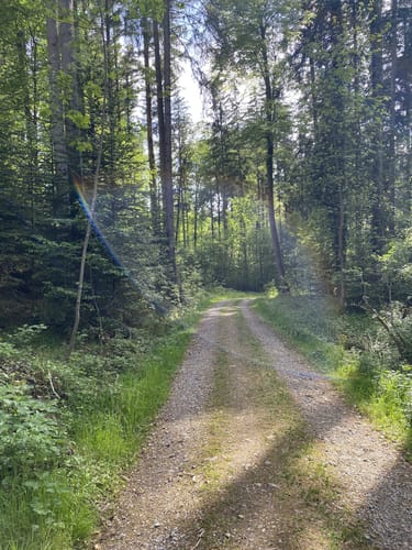 Zinneberg - Hermannsdorf - Glonn