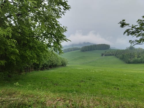 Aus Ramsbeck auf den Bastenberg