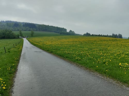 Aus Ramsbeck auf den Bastenberg