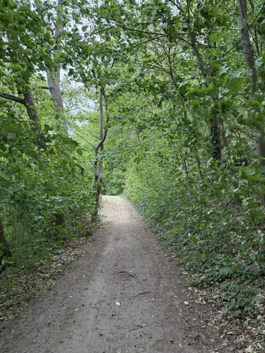 Wanderung um den Wockersee Parchim